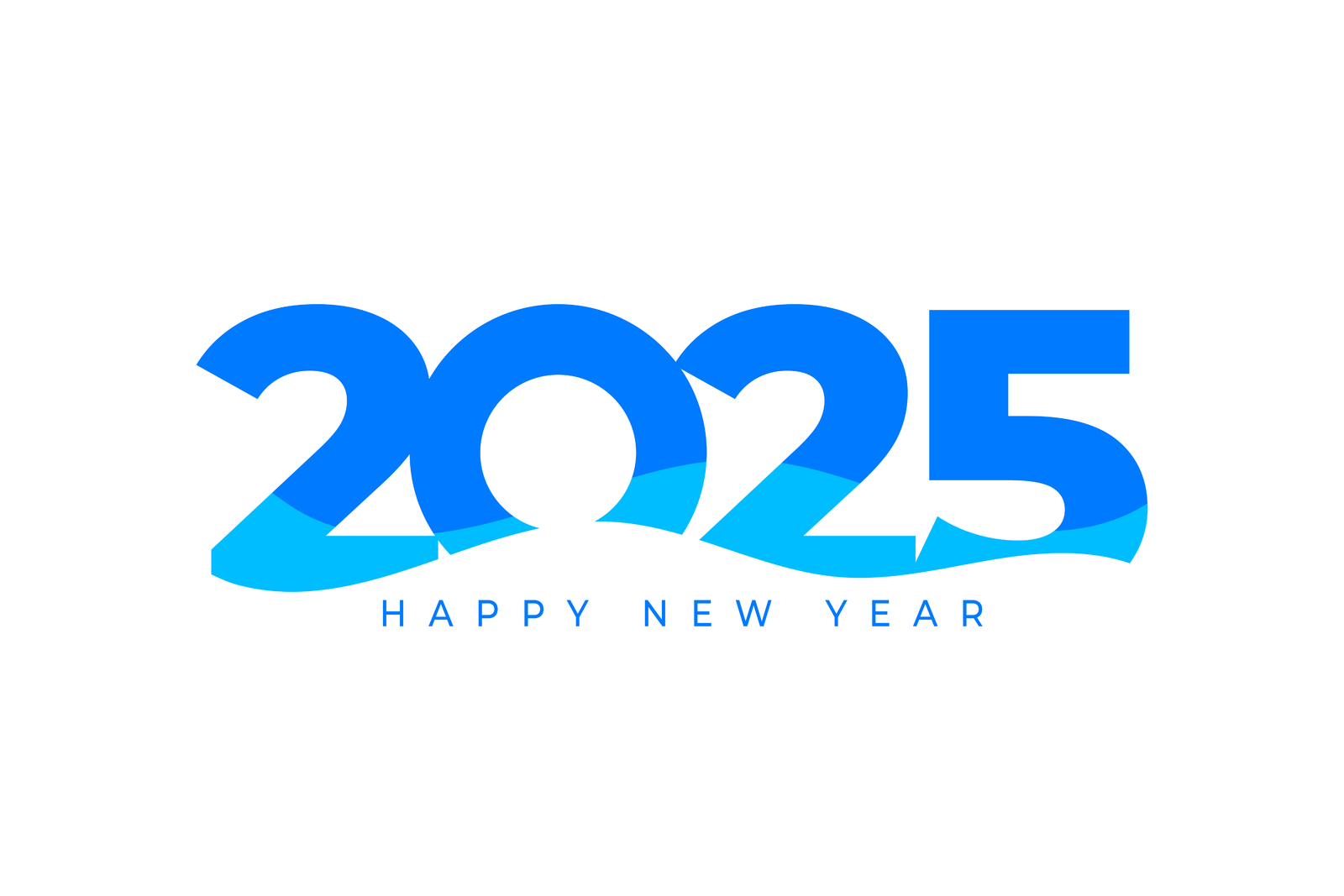 Bonne année 2025 !!!