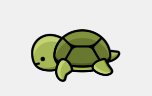 Tortues