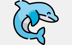 Adultes perfectionnement