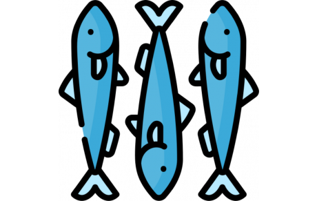 Sardines