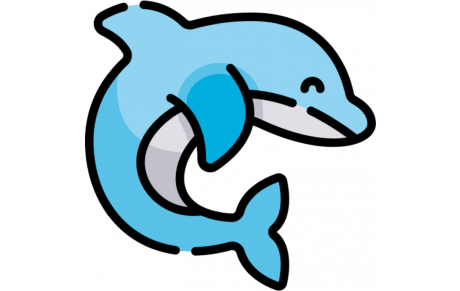 Adultes perfectionnement